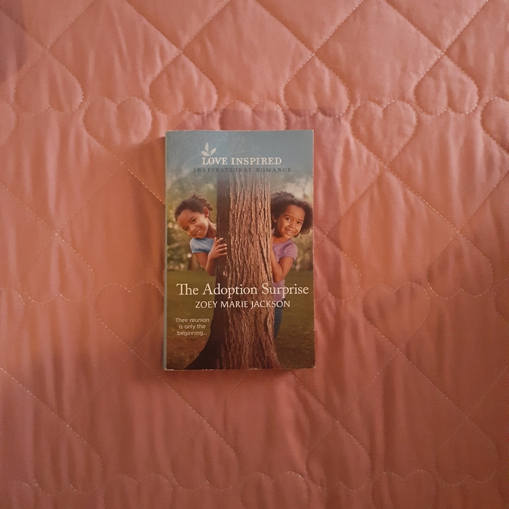 📚🎨 3/$15  The Adoption Surprise Book